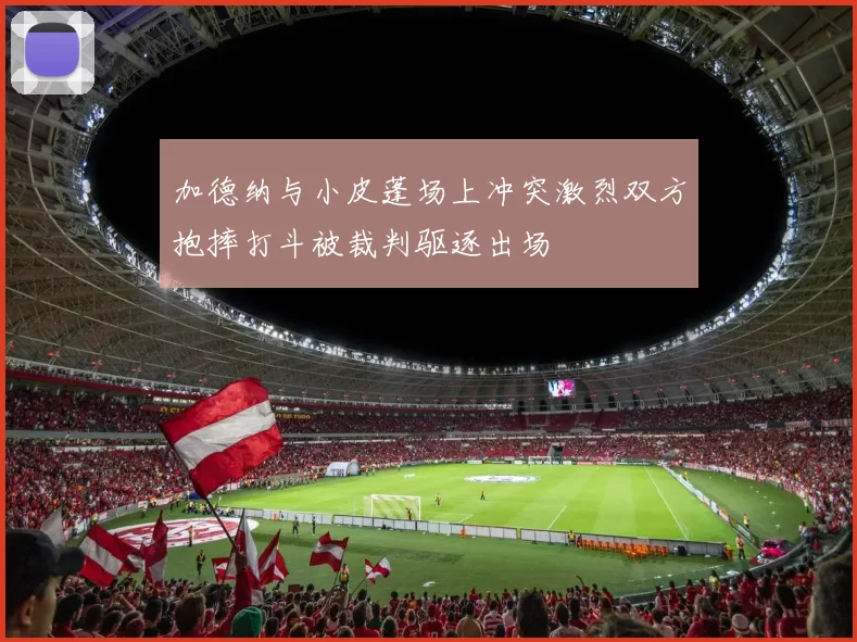加德纳与小皮蓬场上冲突激烈双方抱摔打斗被裁判驱逐出场