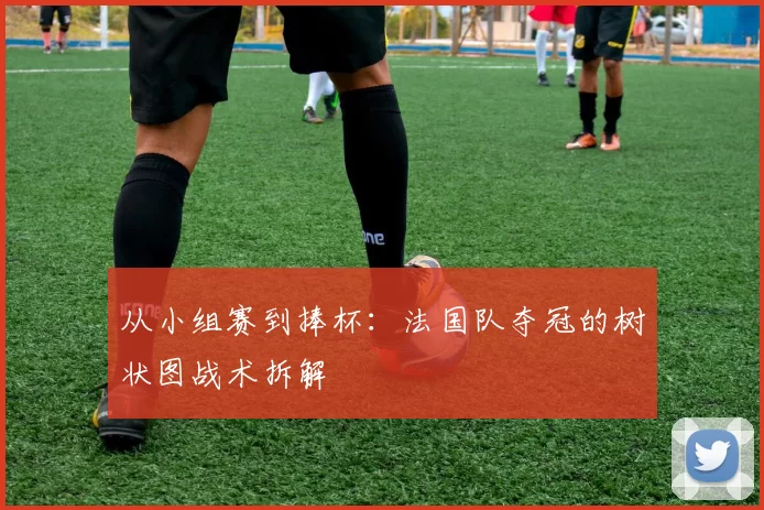 从小组赛到捧杯：法国队夺冠的树状图战术拆解