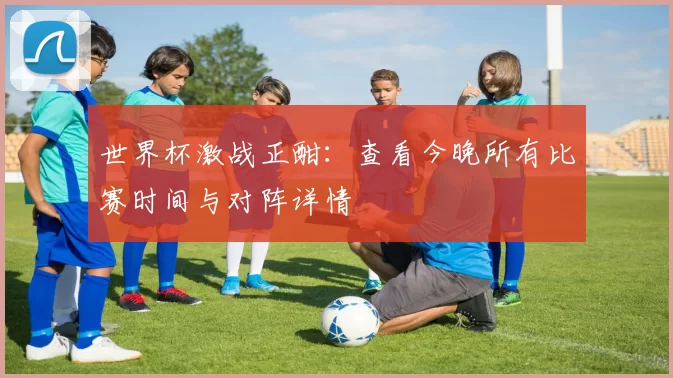 世界杯激战正酣：查看今晚所有比赛时间与对阵详情