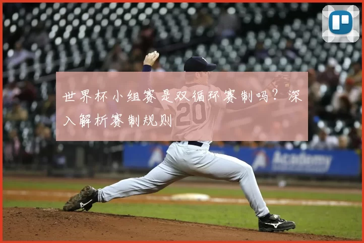 世界杯小组赛是双循环赛制吗?深入解析赛制规则