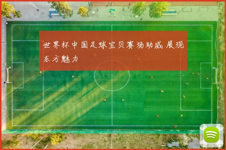 世界杯中国足球宝贝赛场助威 展现东方魅力
