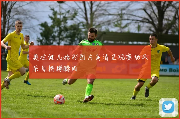 奥运健儿精彩图片高清呈现赛场风采与拼搏瞬间