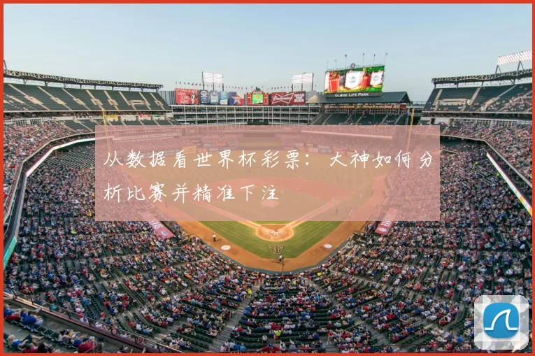 从数据看世界杯彩票:大神如何分析比赛并精准下注