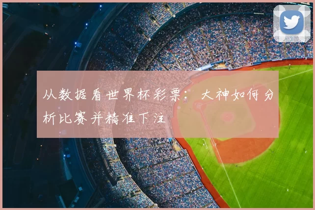 从数据看世界杯彩票：大神如何分析比赛并精准下注