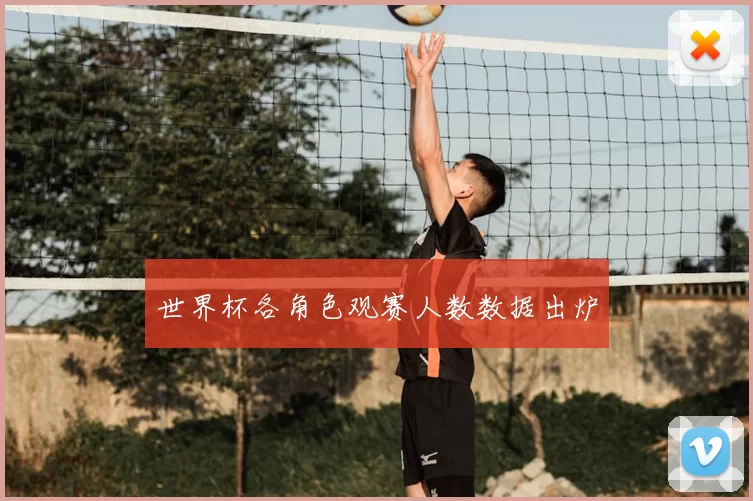 世界杯各角色观赛人数数据出炉