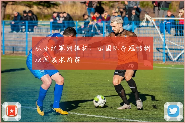从小组赛到捧杯：法国队夺冠的树状图战术拆解