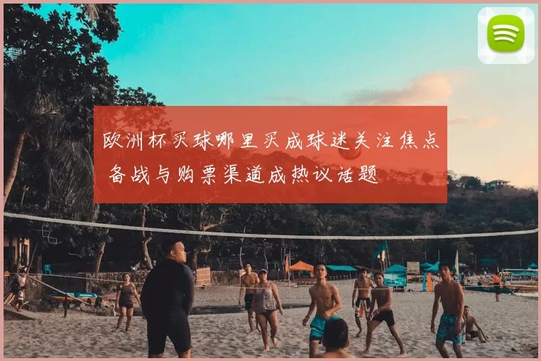 欧洲杯买球哪里买成球迷关注焦点 备战与购票渠道成热议话题