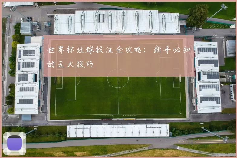 世界杯让球投注全攻略：新手必知的五大技巧