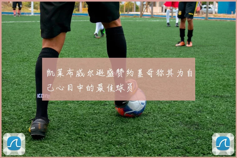 凯莱布威尔逊盛赞约基奇称其为自己心目中的最佳球员