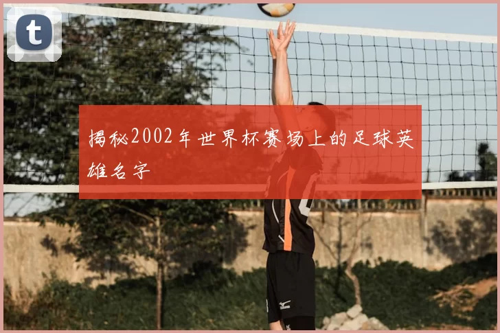 揭秘2002年世界杯赛场上的足球英雄名字
