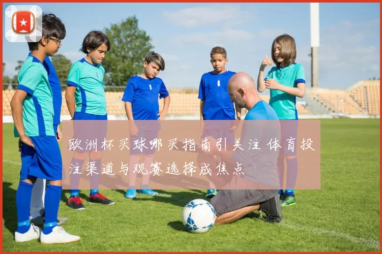 欧洲杯买球哪买指南引关注 体育投注渠道与观赛选择成焦点