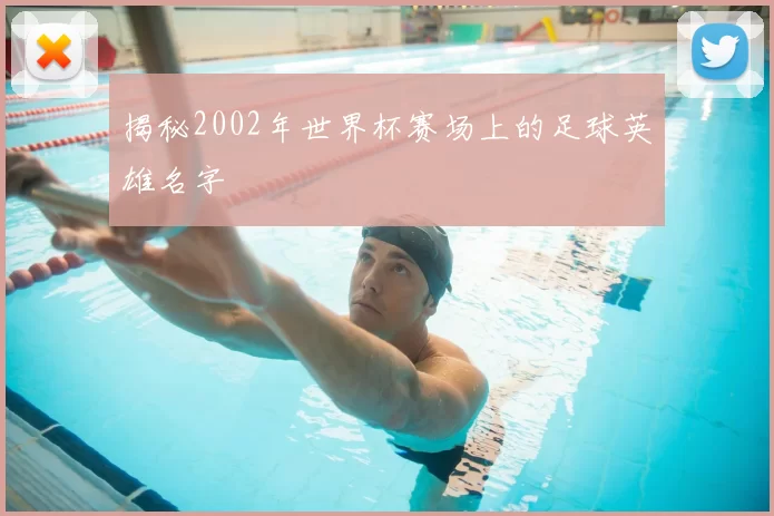揭秘2002年世界杯赛场上的足球英雄名字