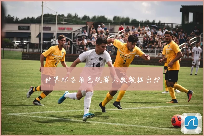 世界杯各角色观赛人数数据出炉