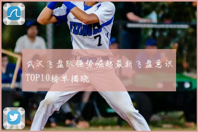 武汉飞盘队强势崛起最新飞盘意识TOP10榜单揭晓